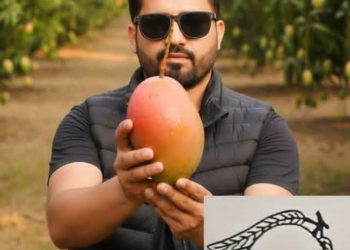 धनुषा–३ बाट पत्रकार दिवाकर साह स्वतन्त्र उम्मेदवार चुनाव चिन्ह ‘आपँ’ पाए