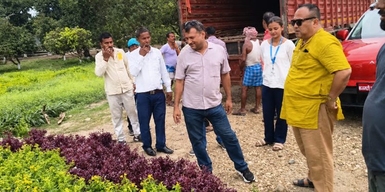 बीपी उद्यान नयाँ स्वरूपमा: हरियाली पार्कसँगै रेल्वे संग्रहालय बन्ने